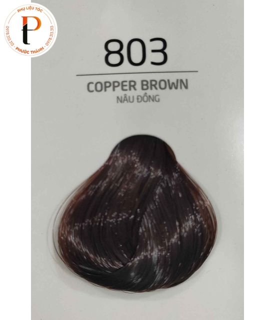 Kem nhuộm phủ bạc hoàn hảo 100% Eleckar MACADAMIA